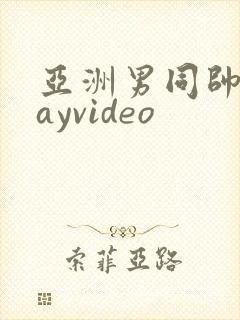亚洲男同帅哥gayvideo