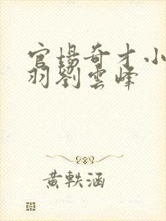 官场奇才小说陆羽刘云峰