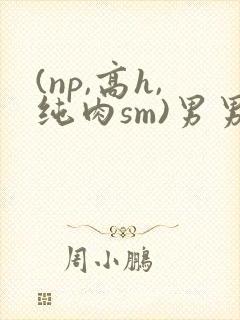 (np,高h,纯肉sm)男男