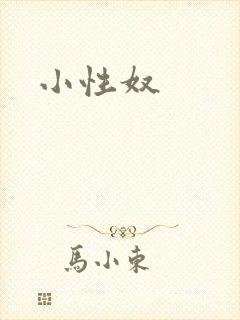 小性奴封面