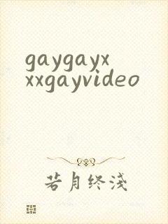 gaygayxxxgayvideo