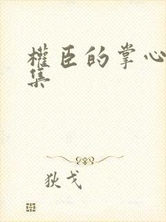 权臣的掌心宠全集