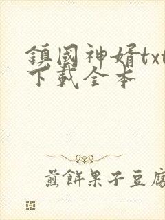镇国神婿txt下载全本