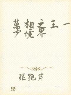 万相之王一共多少境界