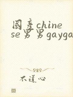 国产chinese男男gaygay网站