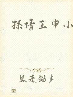 孙倩王申小说