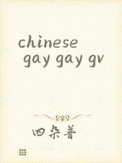 chinese gay gay gv