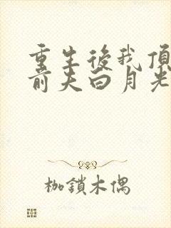 重生后我顶替了前夫白月光
