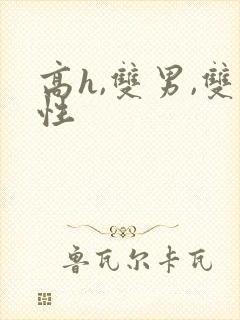 高h,双男,双性