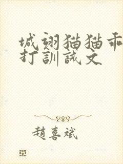 城翊猫猫乖巧挨打训诫文