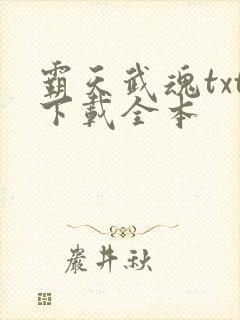 霸天武魂txt下载全本