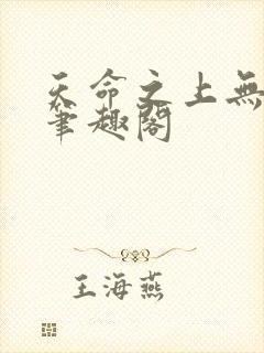 天命之上无弹窗笔趣阁