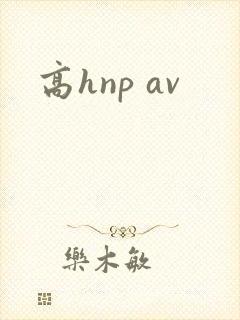 高hnp av
