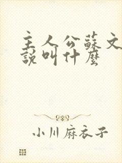 主人公苏文的小说叫什么封面