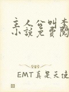 主人公叫李霖的小说免费阅读