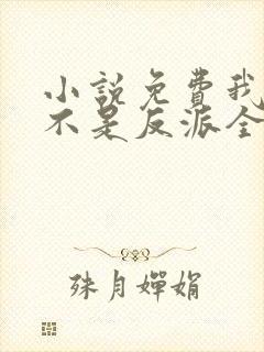 小说免费我真的不是反派全文阅读