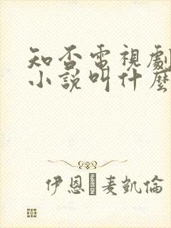 知否电视剧原著小说叫什么名字