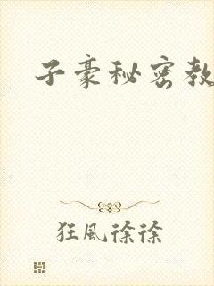 子豪秘密教学封面