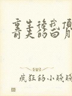 重生后我顶替了前夫的白月光