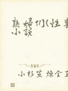 熟妇们(性事)小说