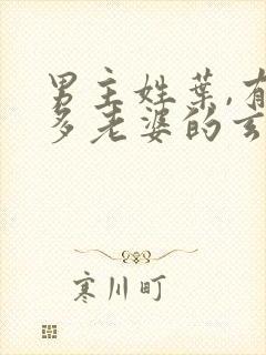 男主姓叶,有很多老婆的玄幻小说封面