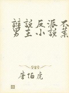 谁说反派不能当男主小说叶玄