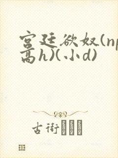 宫廷欲奴(np高h)(小d)