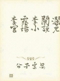 李霖李阑澜巅峰官场小说免费阅读封面