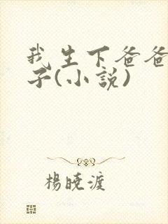 我生下爸爸的孩子(小说)