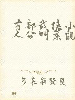有部武侠小说主人公叫叶观的小说