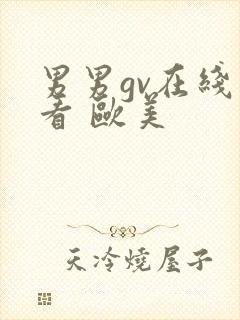 男男gv在线观看 欧美
