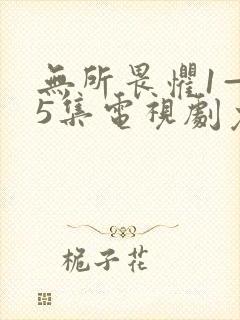 无所畏惧1—45集电视剧免费观看
