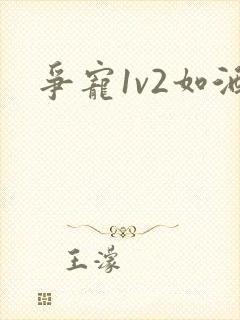 争宠1v2如酒封面