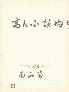 高h小说肉双性