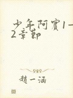 少年阿宾1—72章节