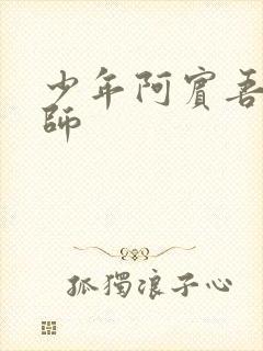 少年阿宾吾爱吾师封面