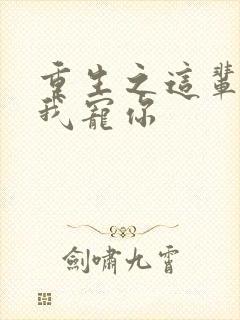 重生之这辈子换我宠你