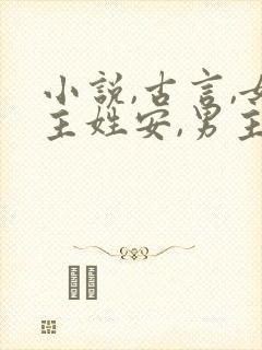 小说,古言,女主姓安,男主是个将军