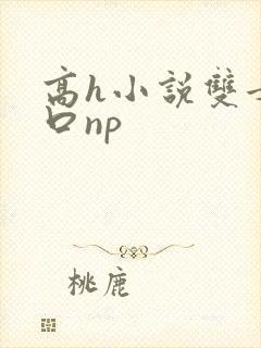 高h小说双女重口np