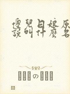 傻儿日娘原著小说叫什么名字封面