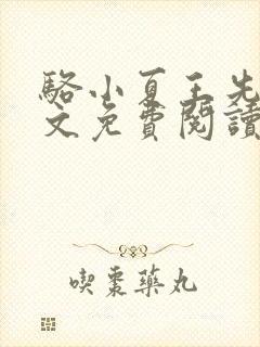 骆小夏王先生全文免费阅读
