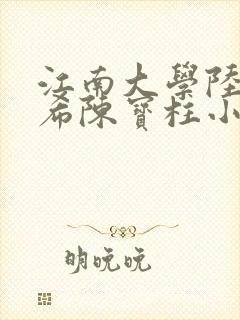 江南大学陆黄若希陈宝柱小说
