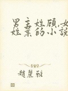 男主姓顾,女主姓叶的小说