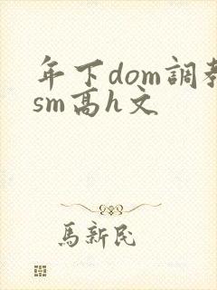 年下dom调教sm高h文封面
