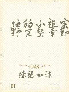 他的小祖宗甜又野完整章节下载封面