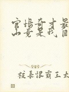 官场奇才最强靠山竟是我自己李霖免费