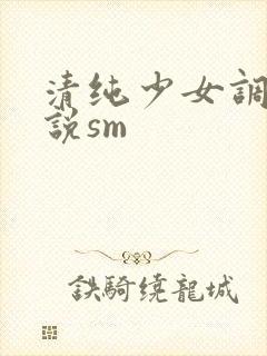 清纯少女调教小说sm