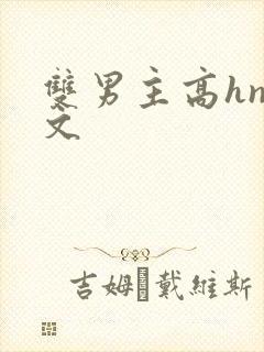 双男主高hnp文