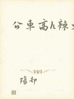 公车高h辣文