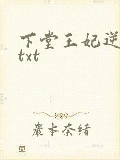 下堂王妃逆袭记txt